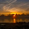 _MG_9979